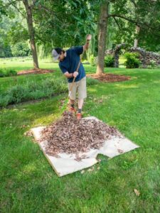 Clean Up