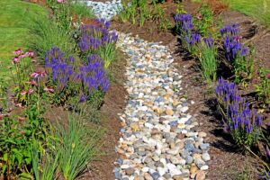 French Drain