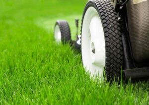 Lawn Care