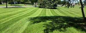 Lawn Care