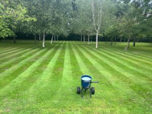 Lawn Care